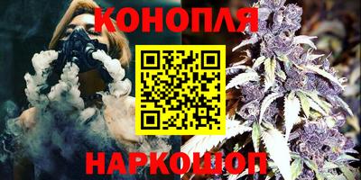 a pvp Бердск
