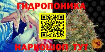 Альфа ПВП Баксан