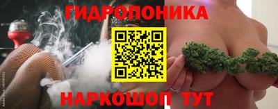 стафф Аша